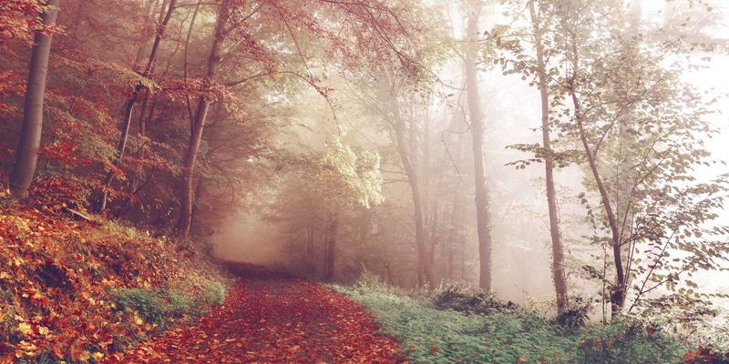 CentOS常用命令速查手册